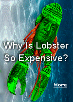 If you like lobster, you’ll gladly pay the price.